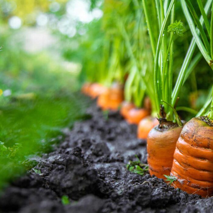 Making Soil Health More Visible